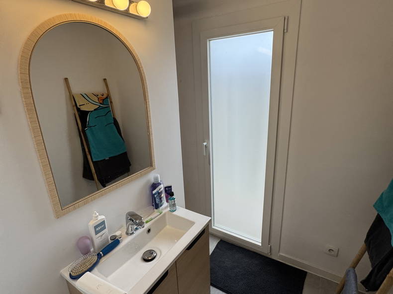 Kolokasie Talence 659770-4