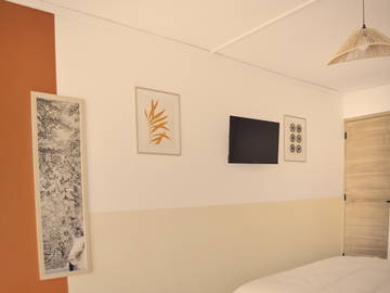 Colocation Soissons 664379-3