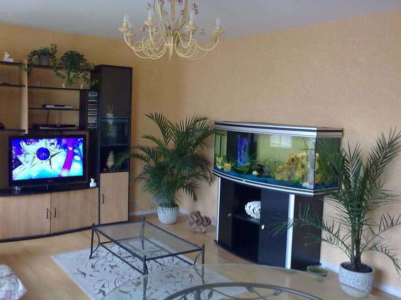 Colocation Courbevoie 18881-4