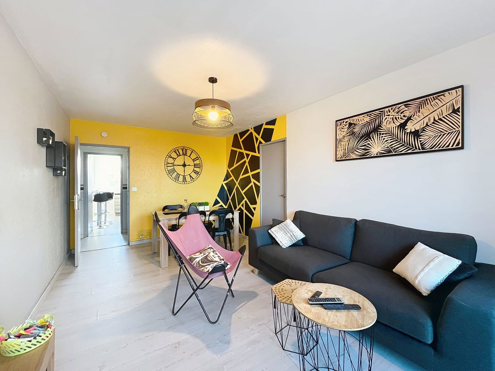 Colocation Pau 654246