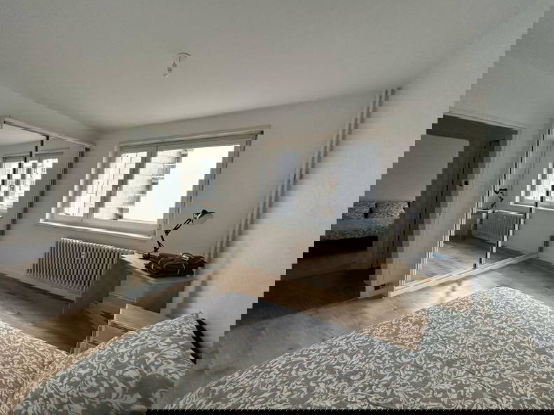 Colocación Strasbourg 492931-2