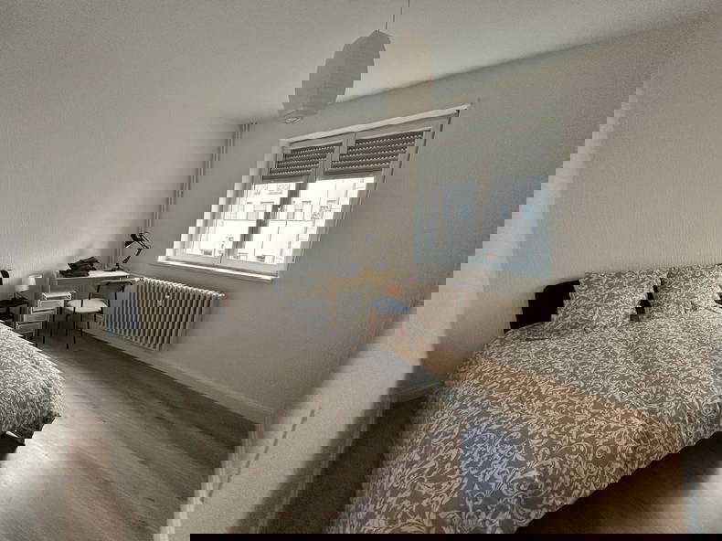 Colocación Strasbourg 492931-3