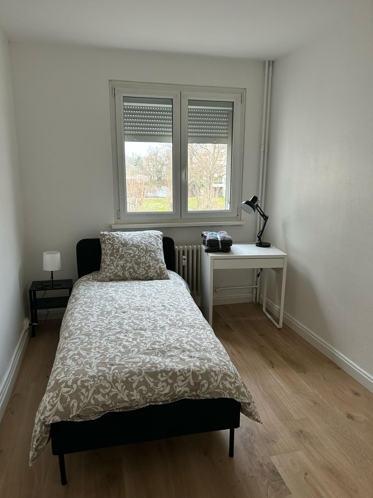 Colocation Strasbourg 492931