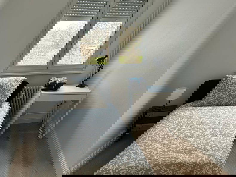 Colocación Strasbourg 492931-4