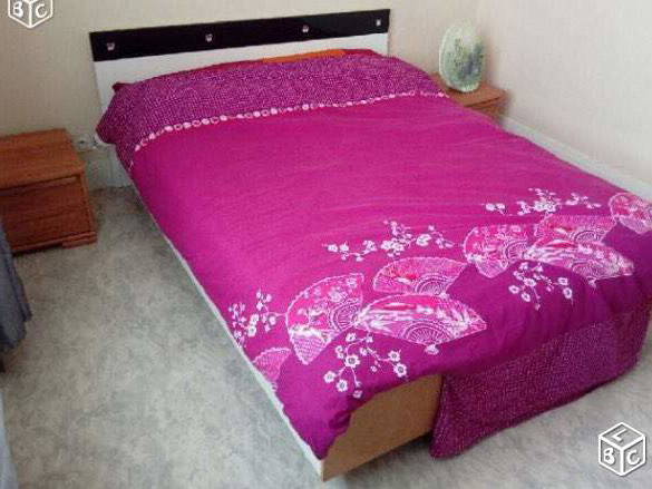 Colocation Toulouse 163984-1