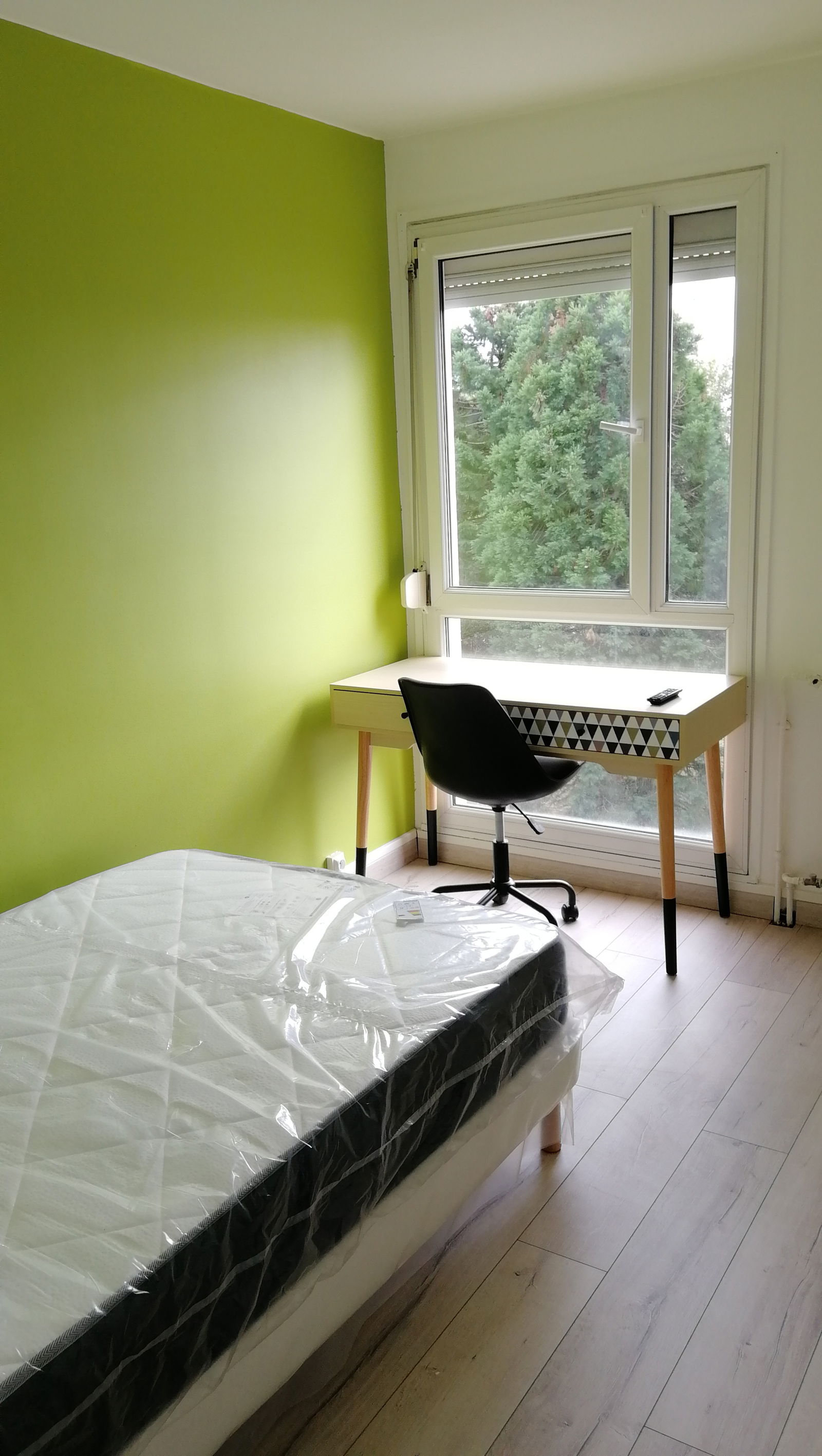 Colocation Mont-Saint-Aignan 247033