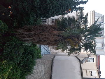 Shared Accommodation Saint-Ouen 138266-8