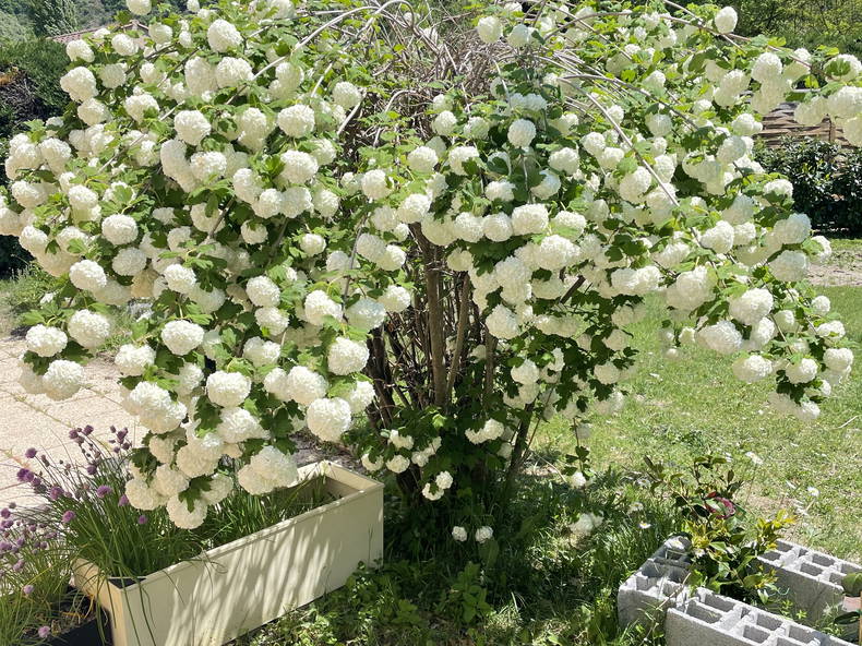 Tuisverblyf Digne-les-Bains 384735-5