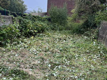 Coliving Charleroi 445987-12