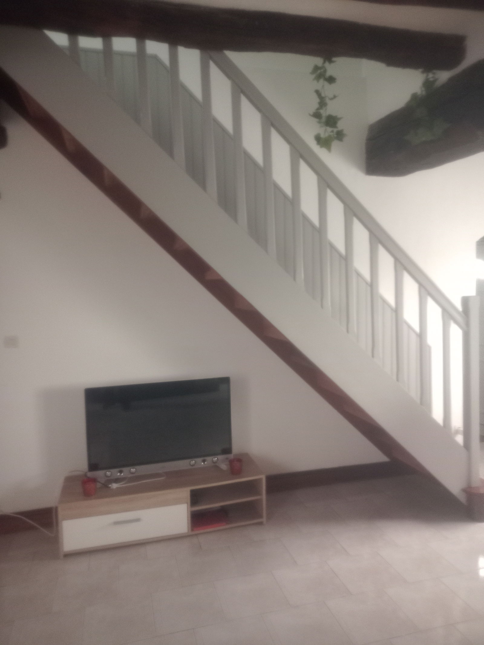 Colocation Saumur 258080