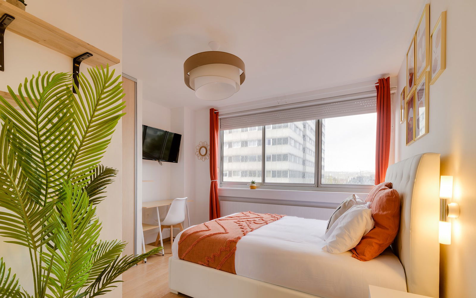 Colocation Nancy 263128