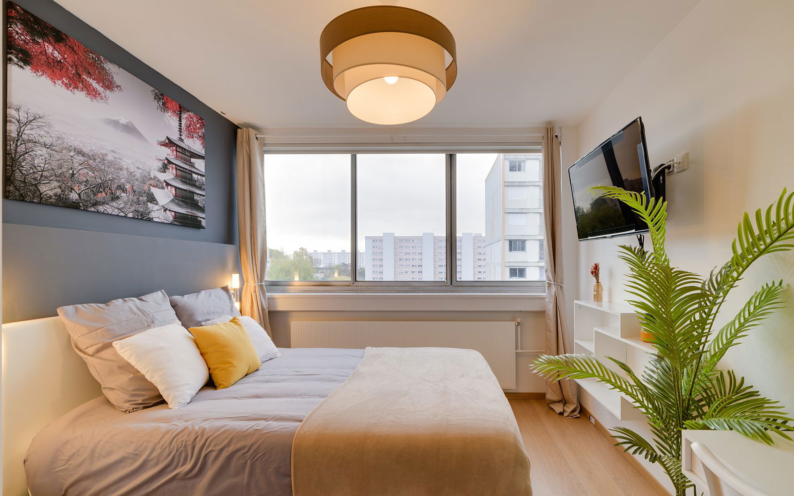 Colocation Nancy 263128