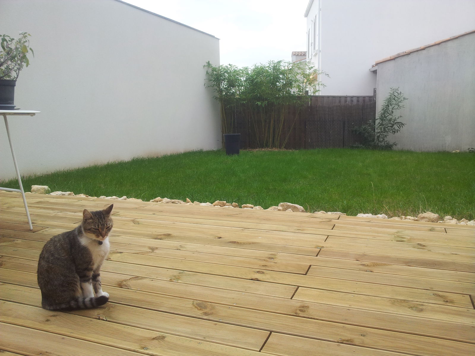 Colocation Angoulins 92593