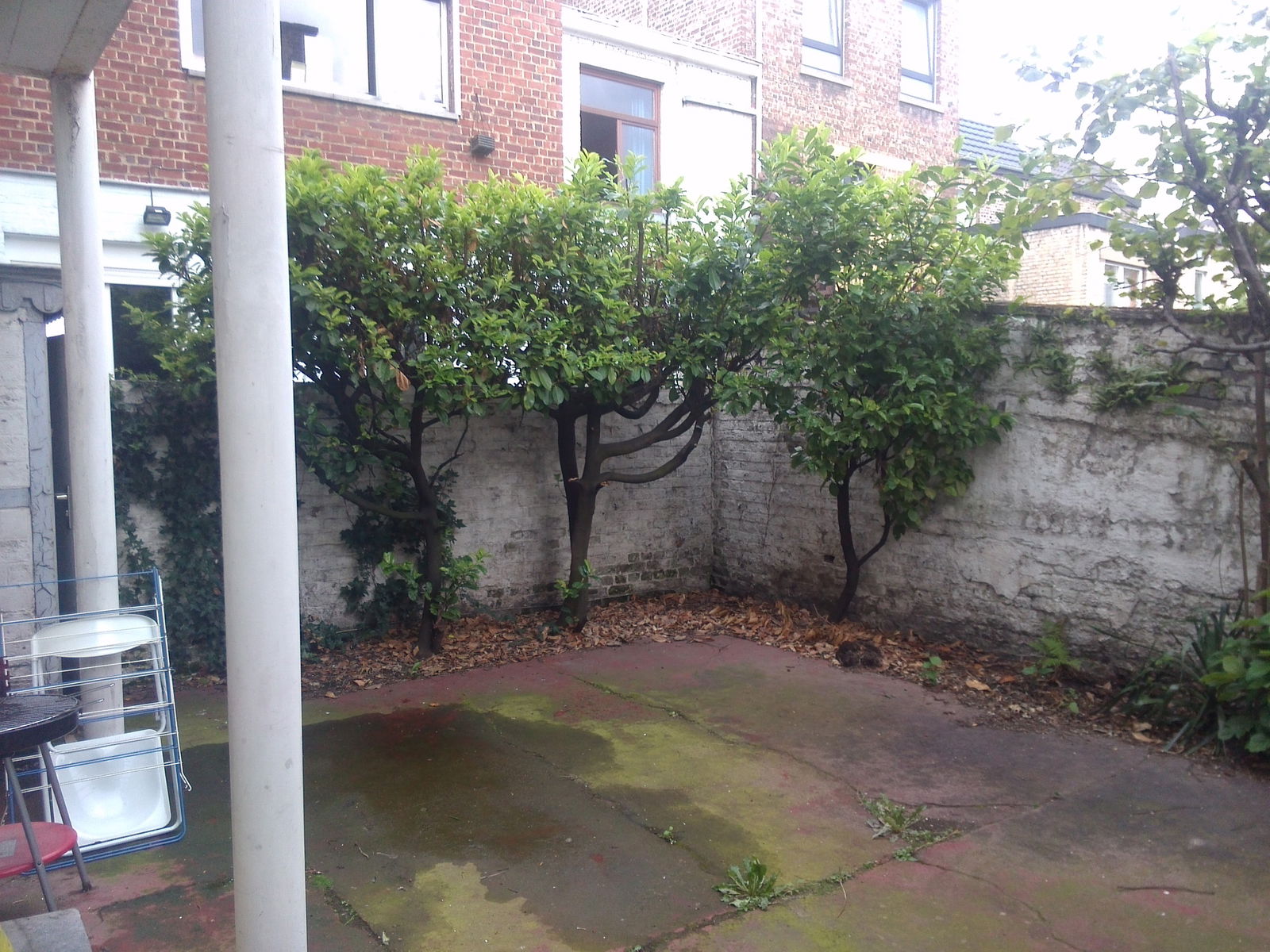 Colocation Liège 121995