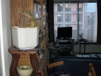 Colocation Namur 38145-3