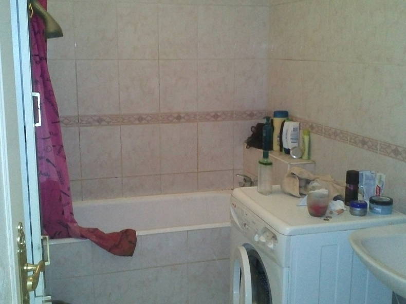 Kolokasie Montpellier 125859-3