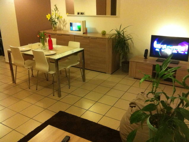 Homestay Lyon 53436