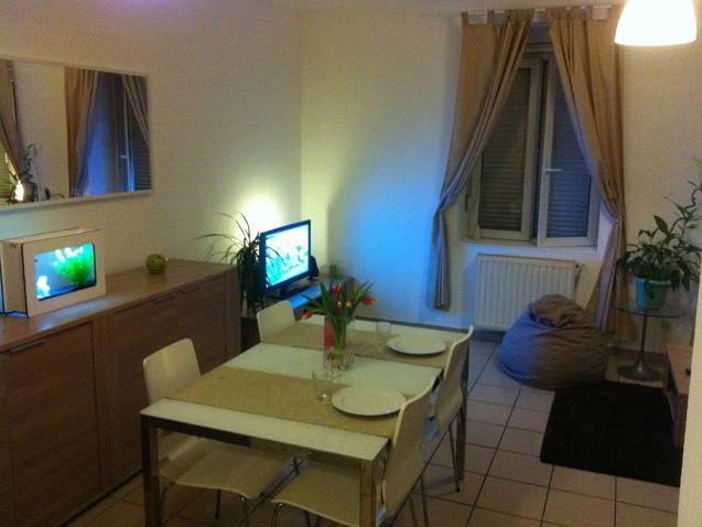 Colocation Lyon 53436-4