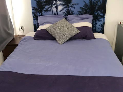 Kolokation Toulon 164124-2