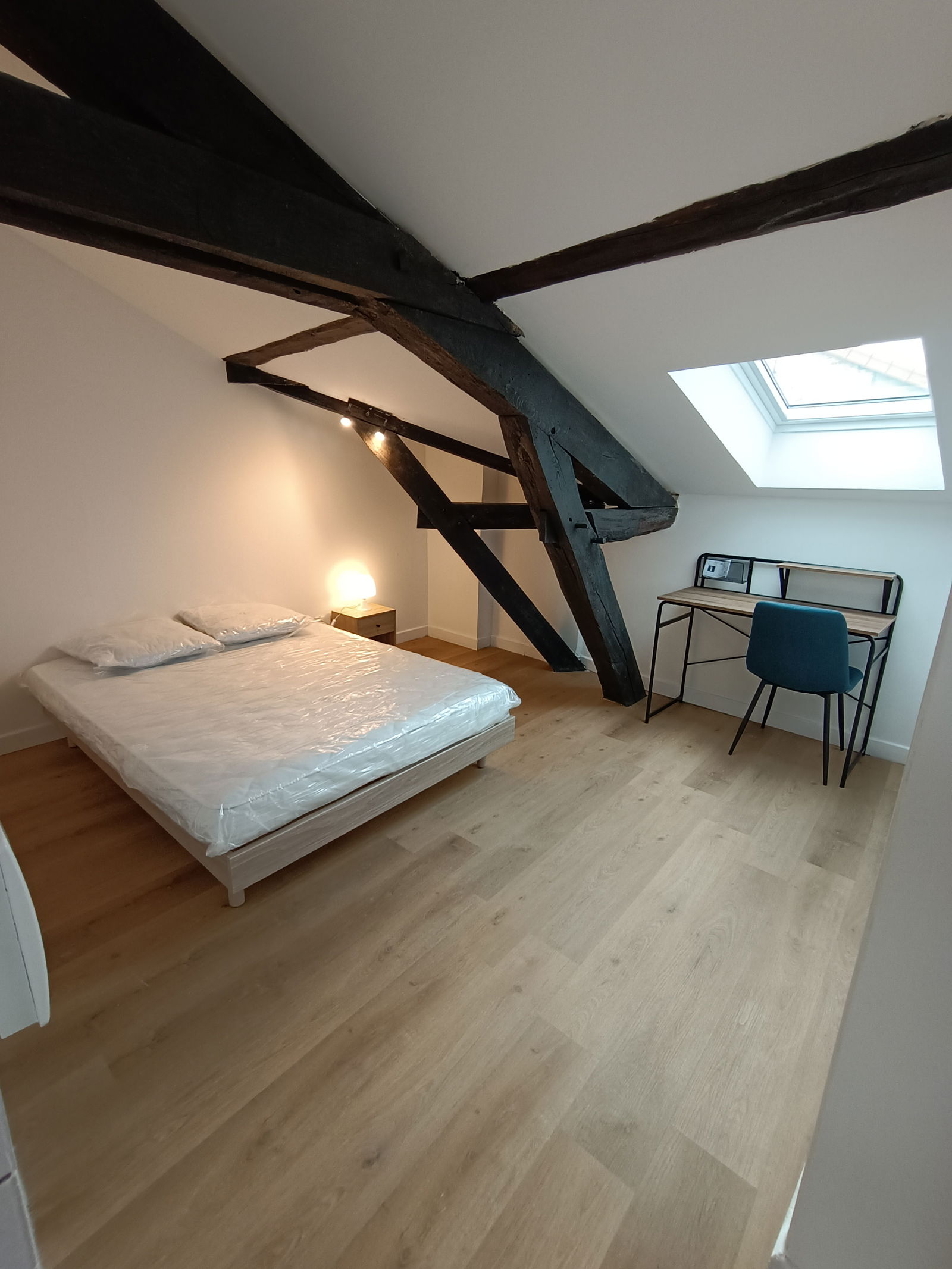 Colocation Roanne 496423