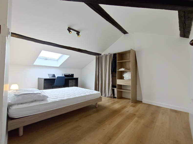 Colocation Roanne 496423-2