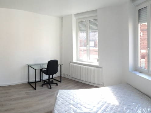 Kolokation Loos 124499-1