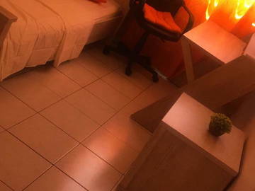 Shared housing to rent in Les Abymes - photo 3-3