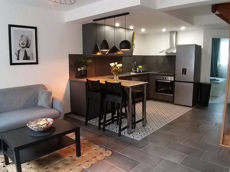 Colocation Troyes 261247-1