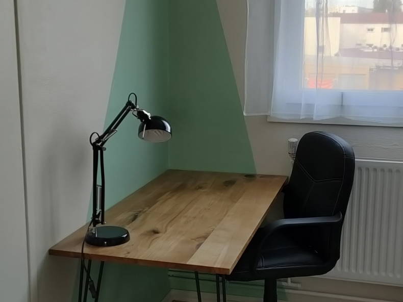 Colocation Vénissieux 257728-5