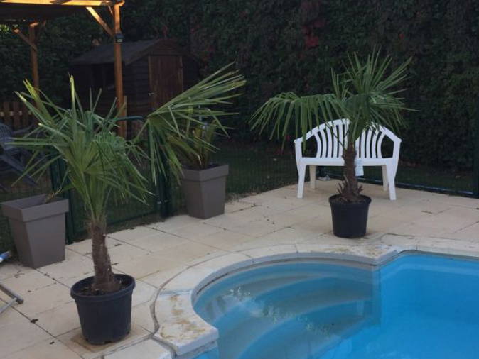 Colocation Frontonas 658843-4