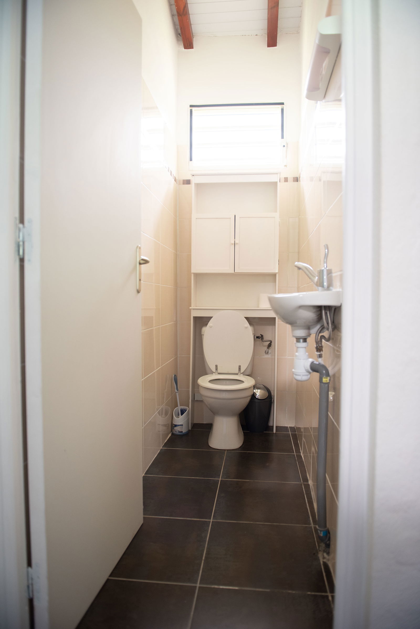 Colocación Goyave 261635