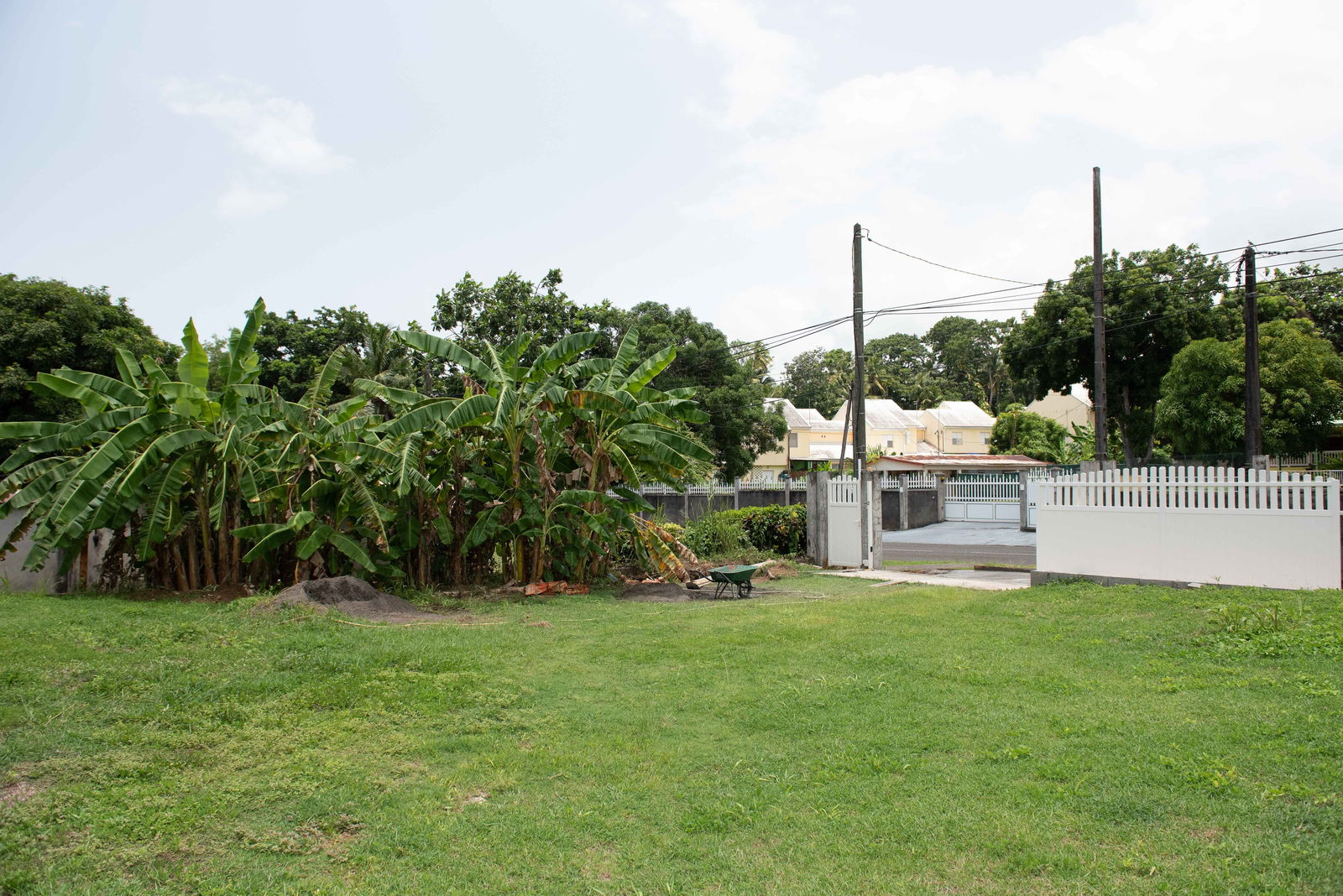 Colocación Goyave 261635