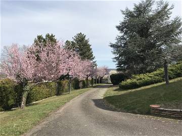 Chambre À Louer Montluçon 397906