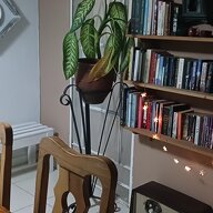Homestay La Habana 332814