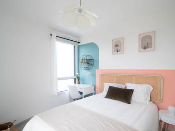 Chambre À Louer Villeurbanne 265621