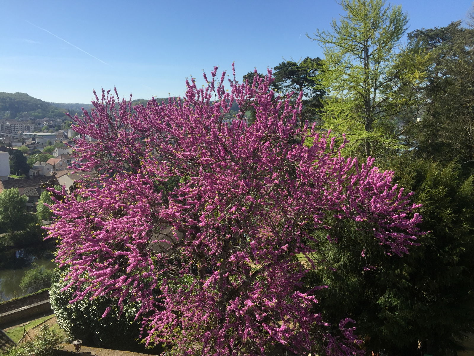 Gästezimmer Périgueux 40554