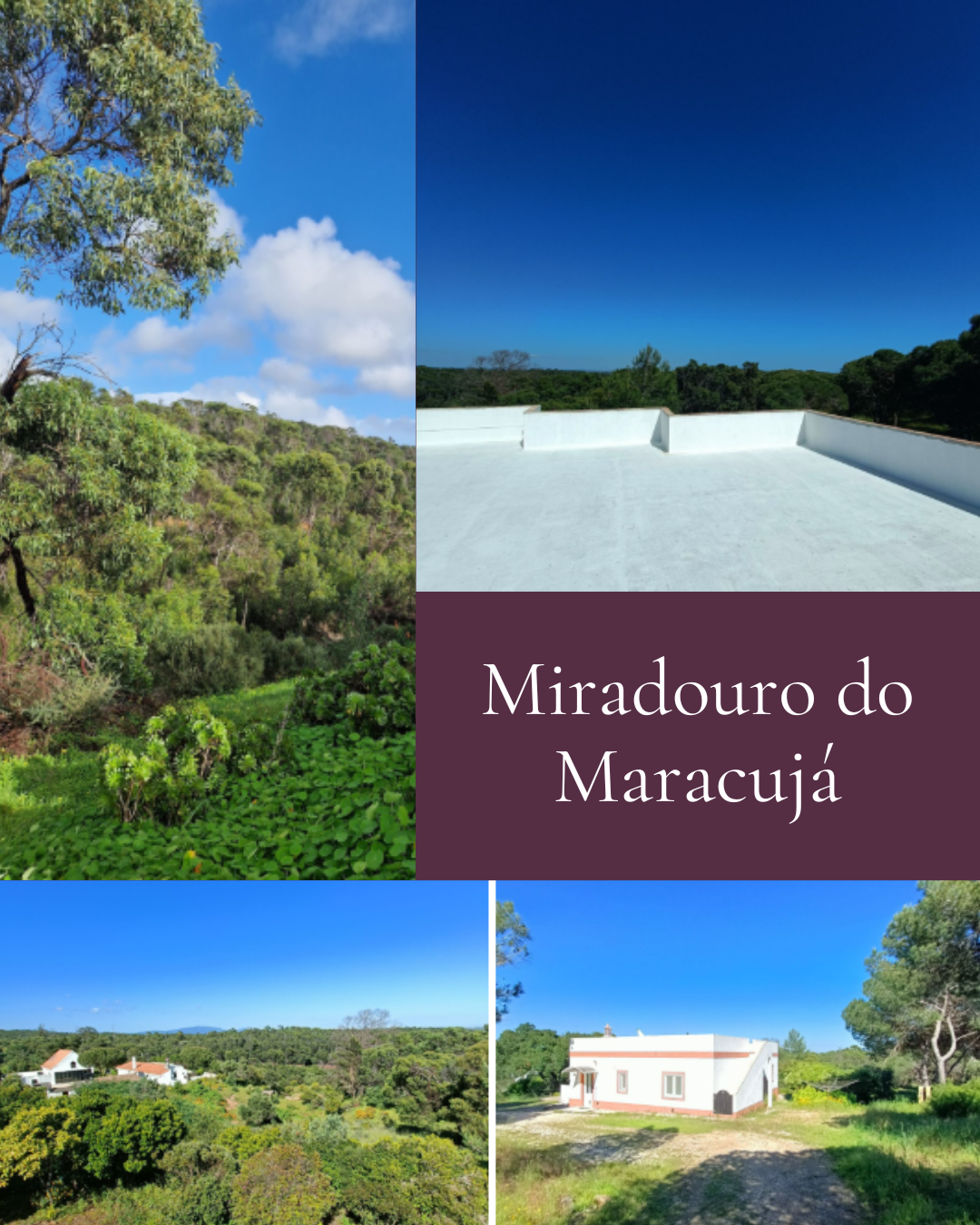 Coliving Barão de São João 538328