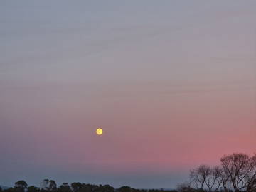 Coliving Barão De São João 538328-12