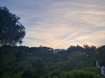 Coliving Barão De São João 538328-14