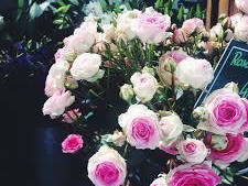 Entire Home Lyon 52846-7