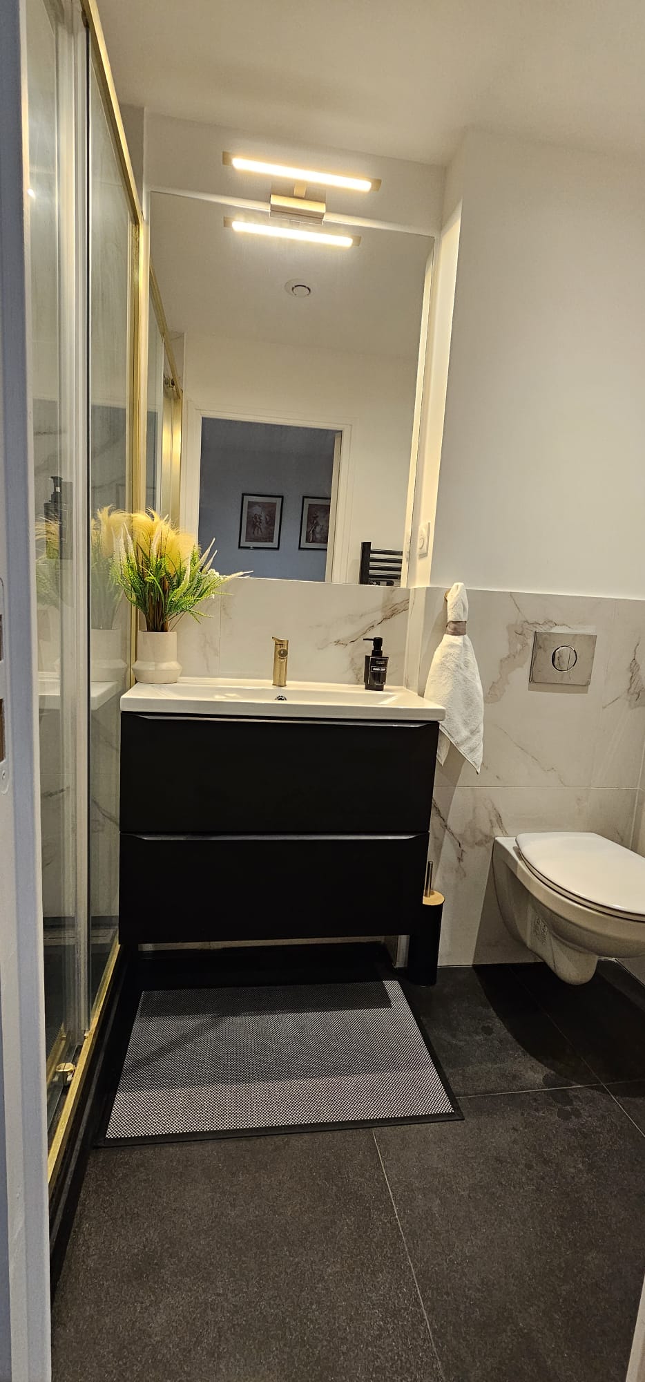 Colocation Lille 501395