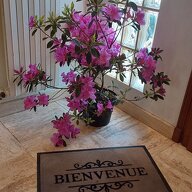 Vierashuoneet Bazainville 87235