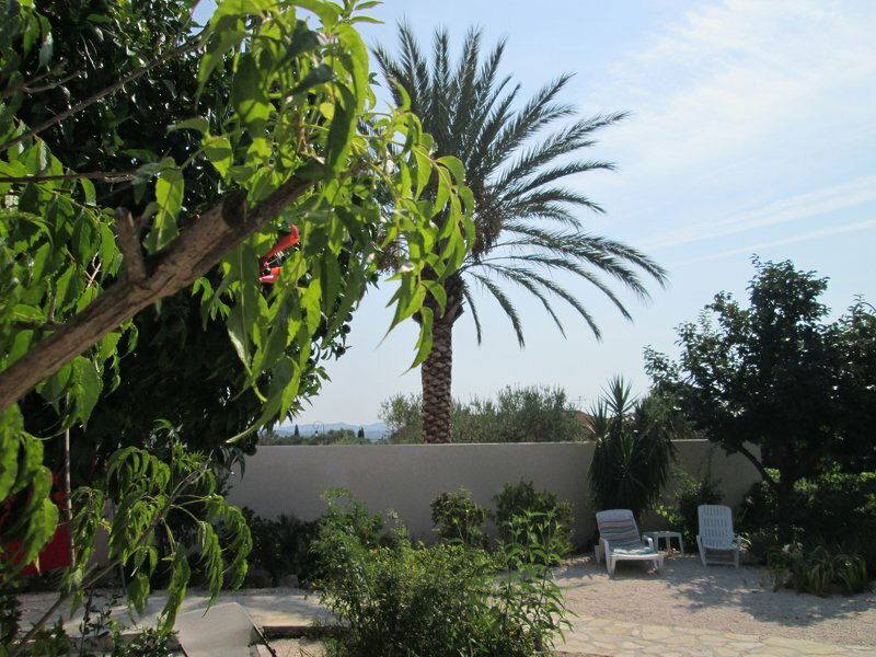 Colocatie La Farlède 51167