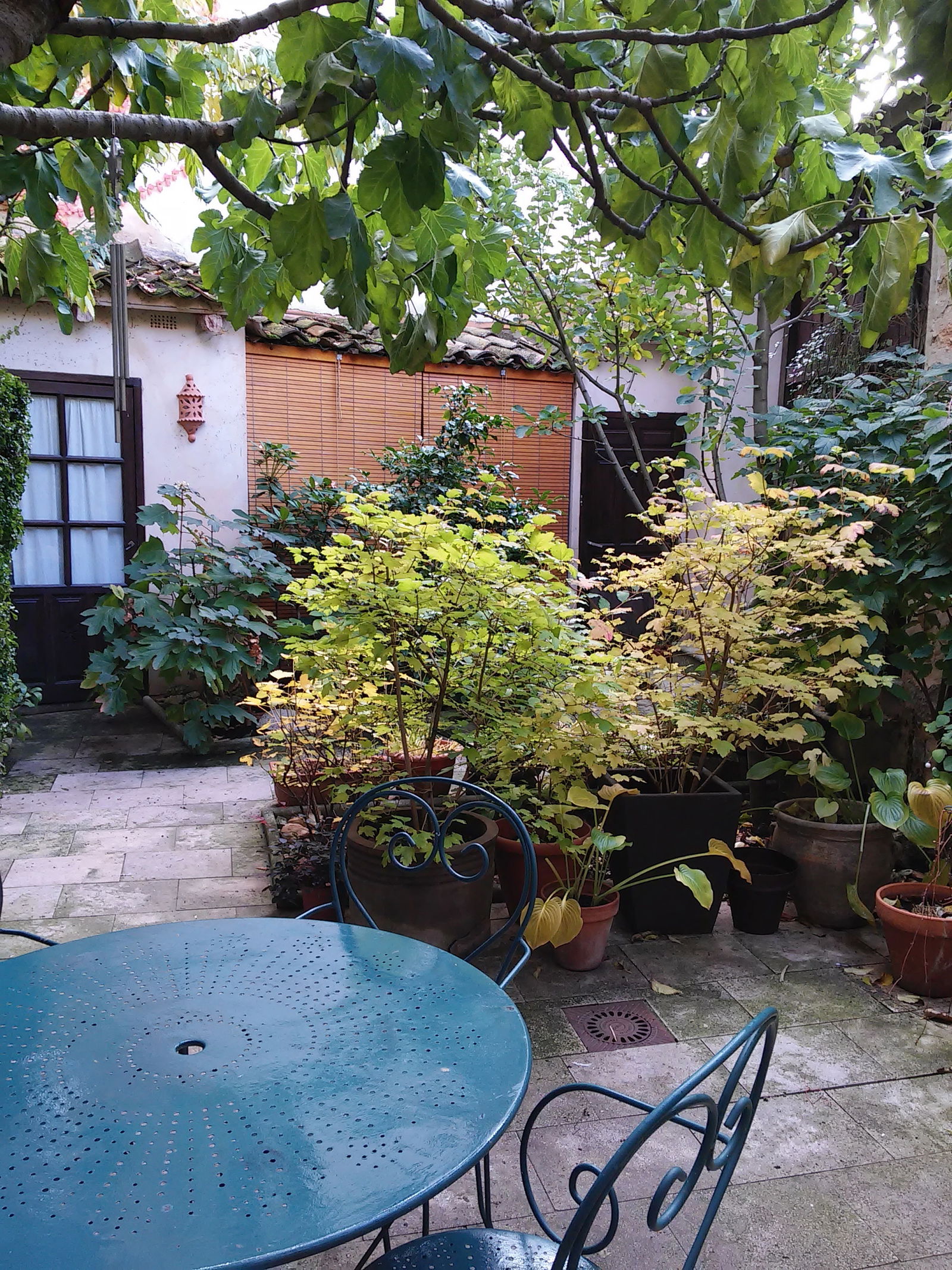 Gastenkamers Campillo de Aranda 56871