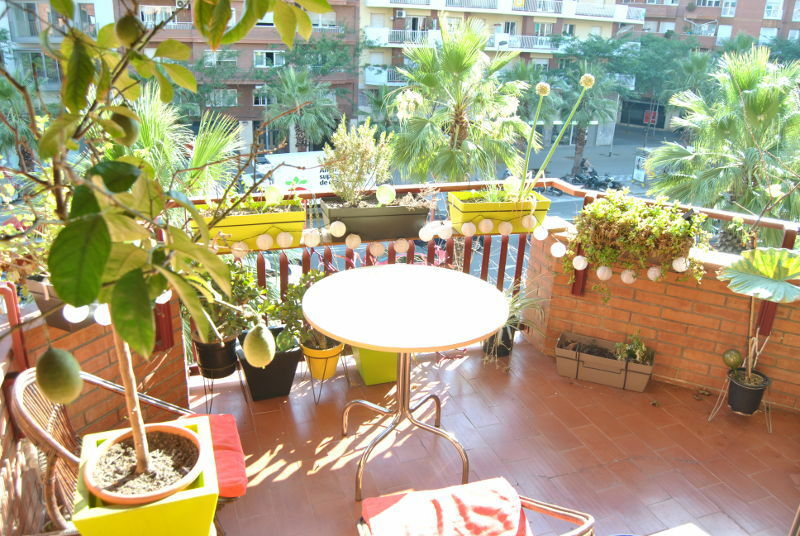 Gastgezin Barcelona 176318