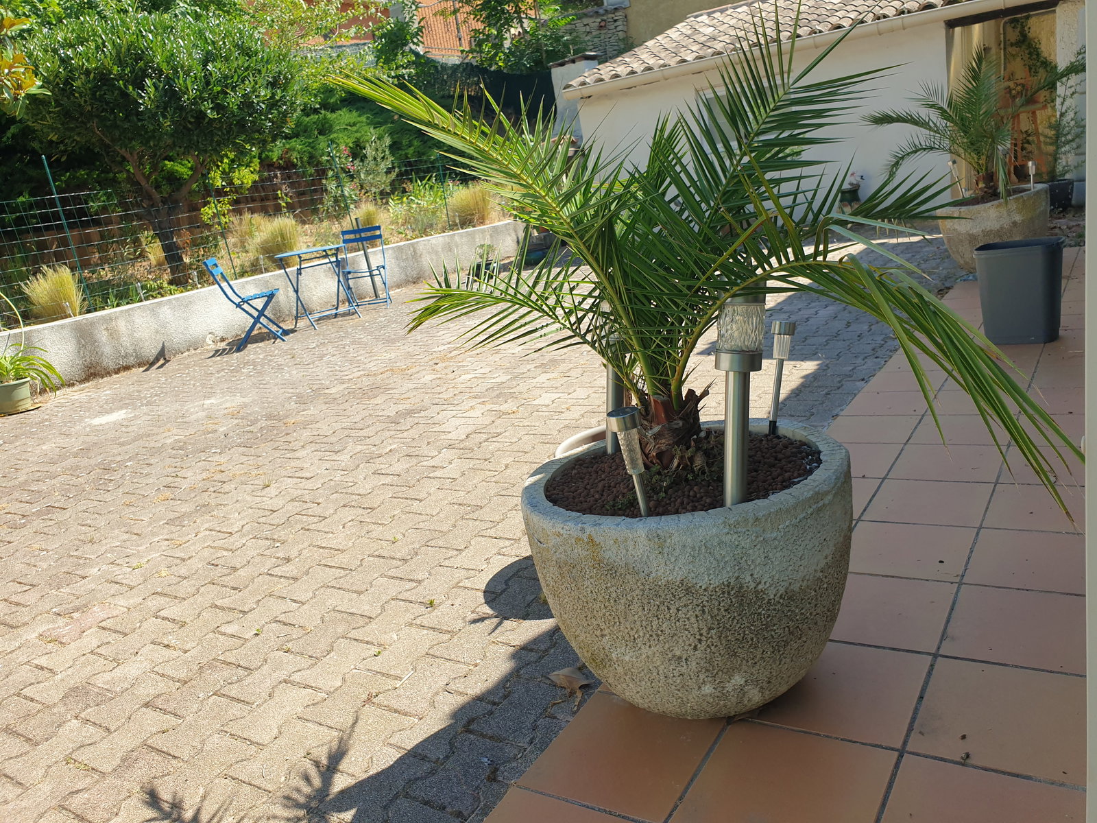 Gastgezin Apt 558504