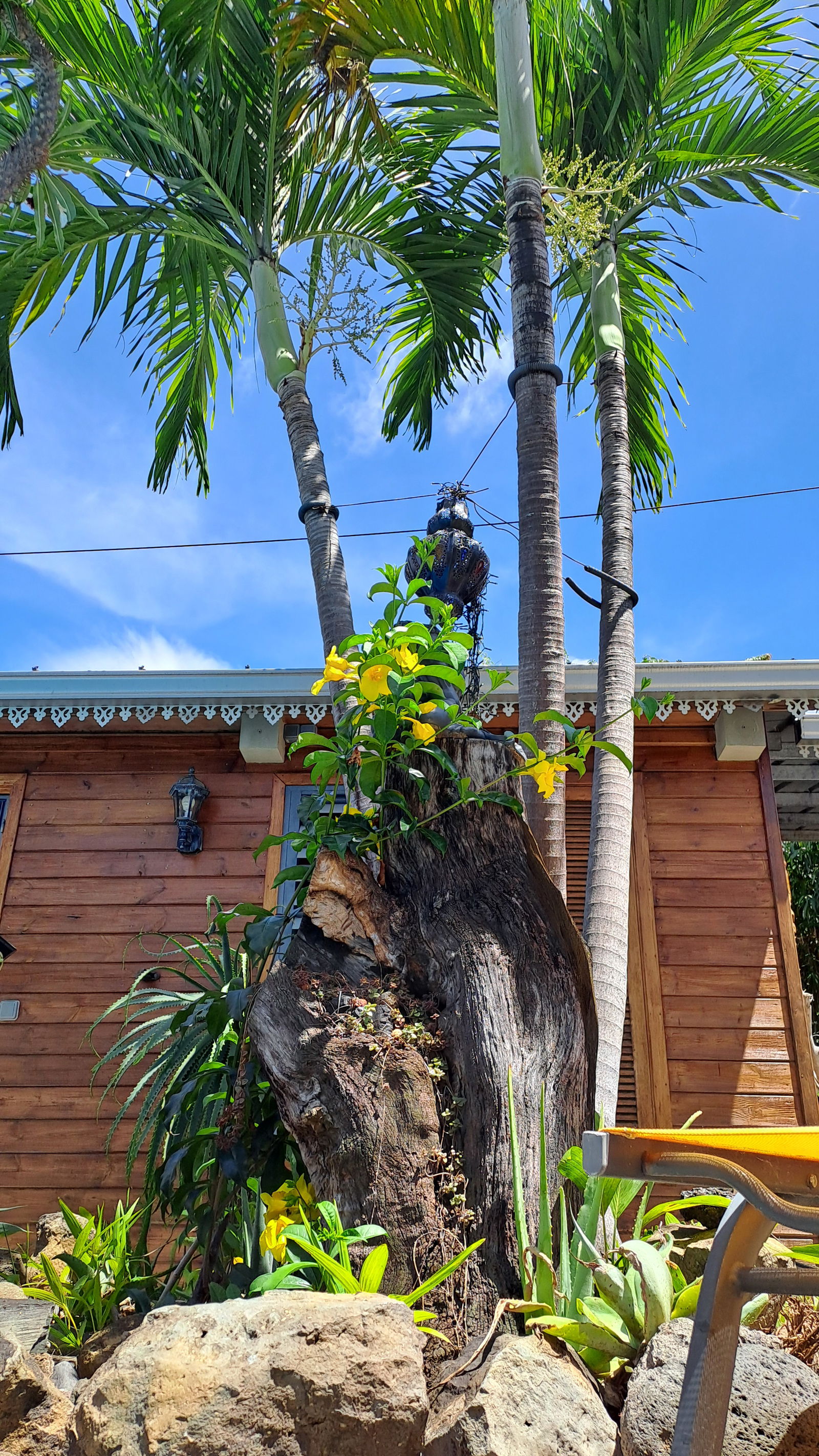 Onafhankelijke Studio Saint-Paul 461535