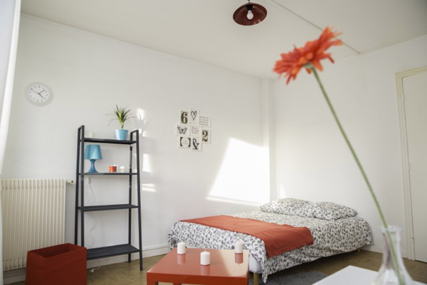 Colocation Strasbourg 264617