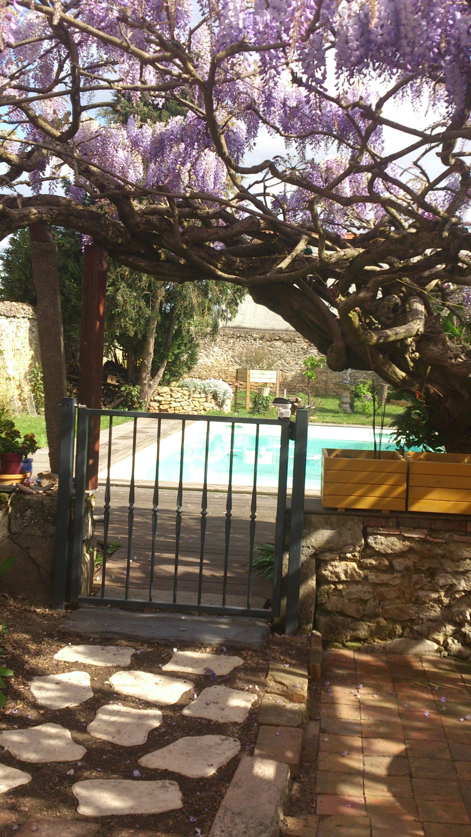 Bed And Breakfast La Flèche 102704