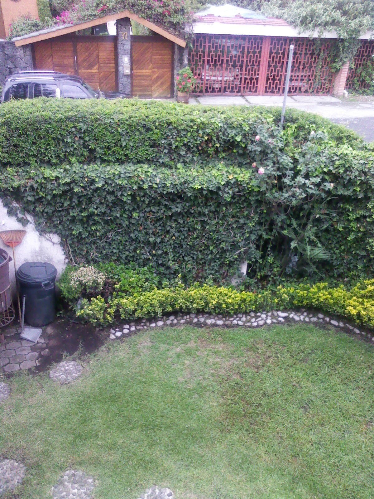 Homestay Ciudad de México 82846